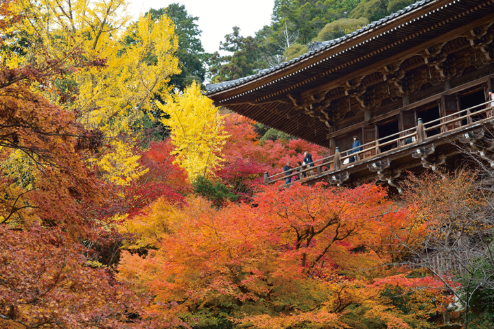 圓教寺