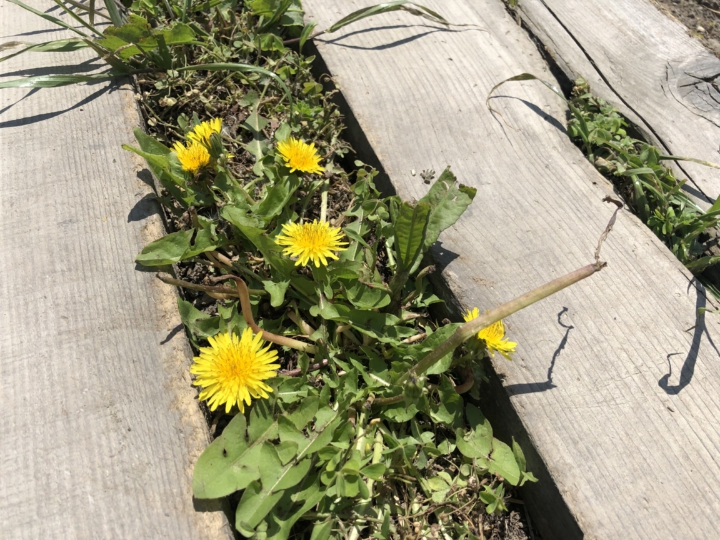 20190504_015157716_iOS