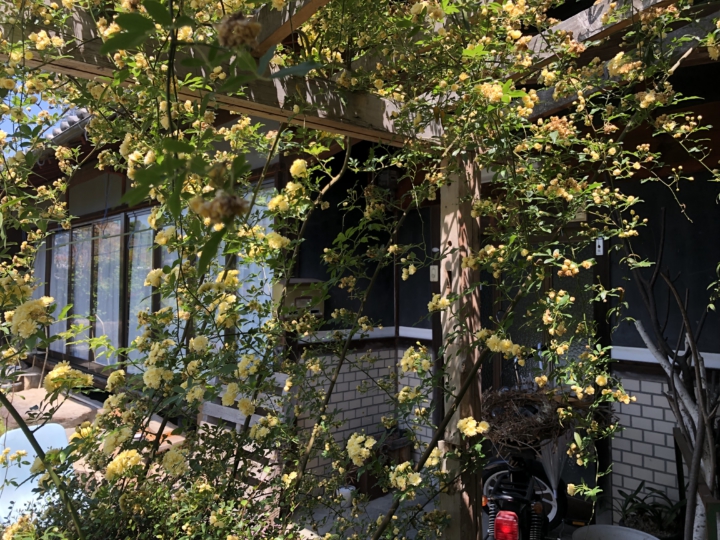 20190504_015604302_iOS