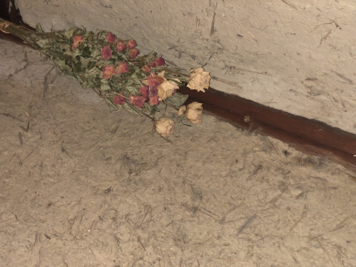 20190504_021852312_iOS