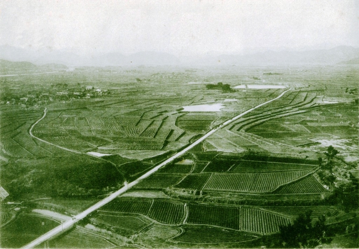 開墾の終わった西光寺野 出展：「西光寺野普通水利組合耕地整理組合事業」 1915（大正4）年