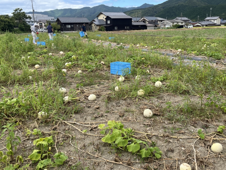 IMG-1556