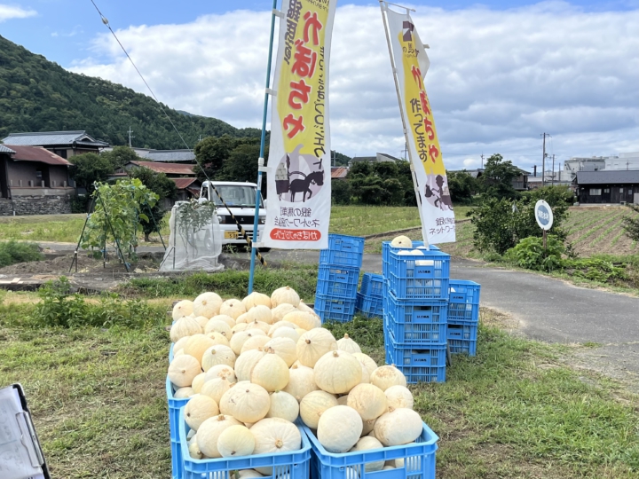 IMG-1606