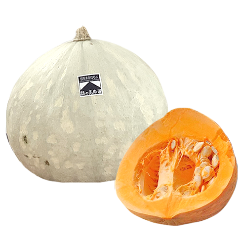 銀馬車かぼちゃ